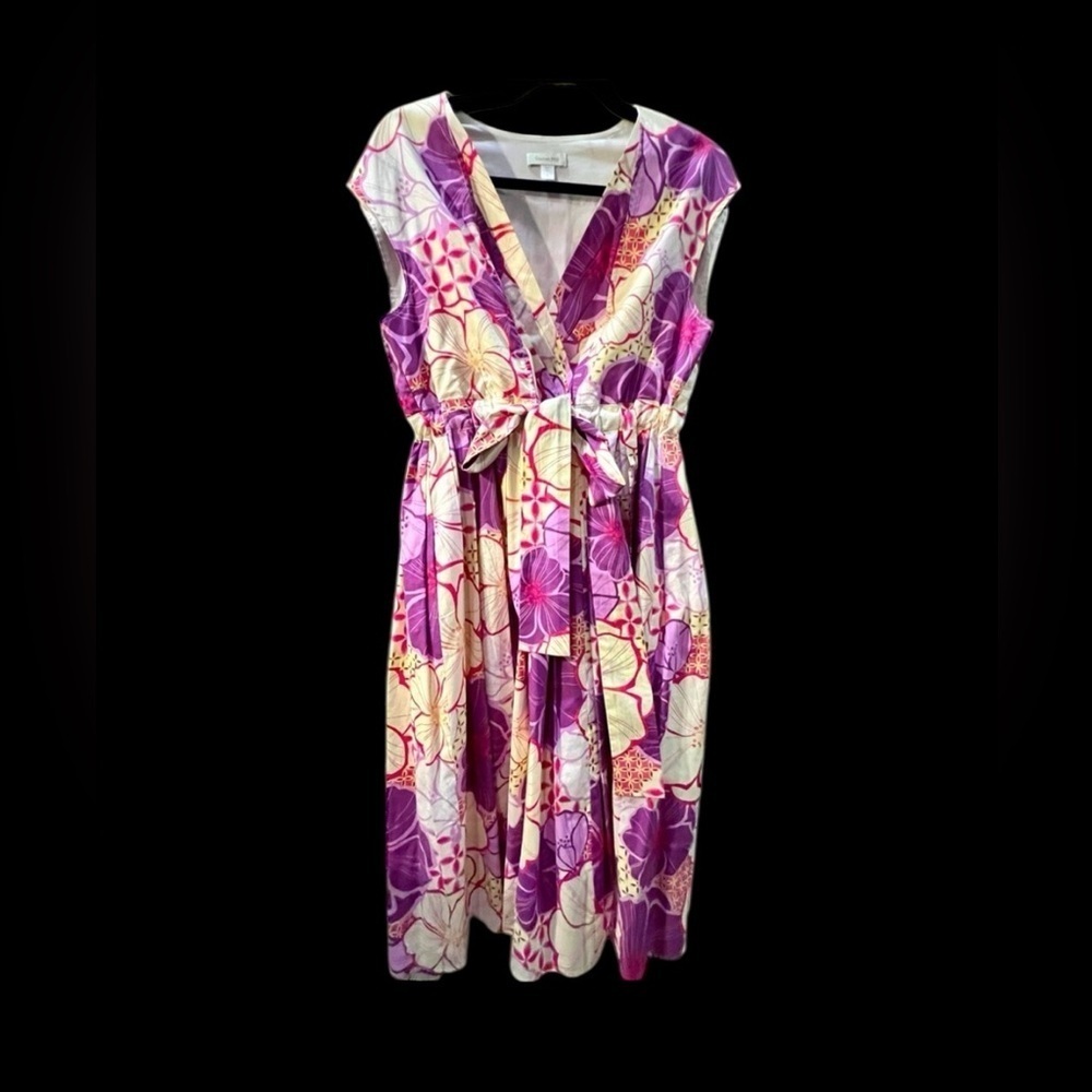 Garnet Hill whimsical cotton waist line dress